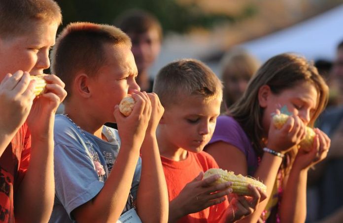 Corn eaters move like typewriters down their ears of corn while bidding for a win in the corn eating contest at Camp Verde’s 19th annual CornFest 2010 in Camp Verde on Saturday, July 17. This was the second year in a row the festival was organized by a local nonprofit. Droves of Verde Valley residents turned out to savor the flavor of the season.