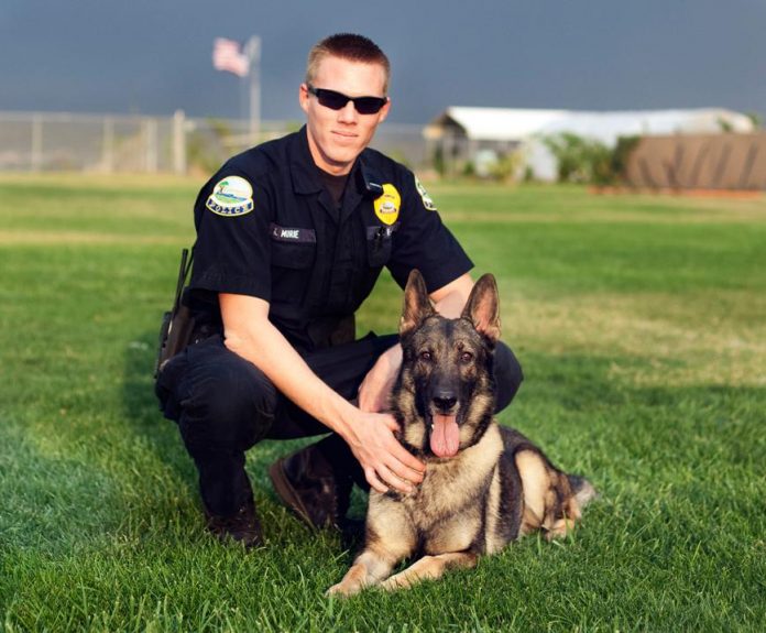 Buster, one of two K-9 units in service with Cottonwood Police Department, will be retiring soon due to age and declining health, according to Sgt. Kevin Murie. Police are researching the possibility of purchasing a new drug-sniffing dog for the department, which could cost as much as $7,000.