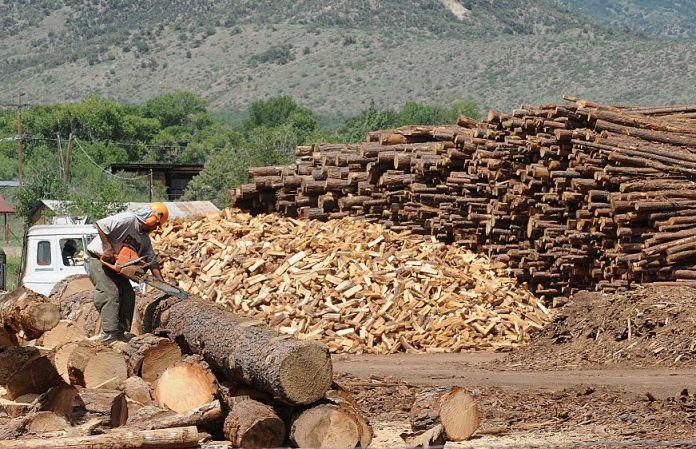 A sawyer continues work as usual on Aug. 18 at the wood yard property, formerly known as the Zellner Wood Yard. The Camp Verde Town Council approved a settlement with California HotWood last week after nearly three years of legal wrangling.