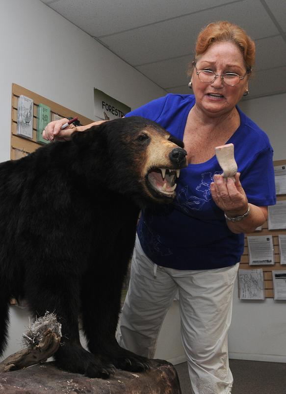 Carolanne Moore, the visitor services coordinator for the Camp Verde Visitor Center, recounts a story Sunday, July 25, in which Buster the bear’s tongue was broken accidentally by a curious tourist. Moore said she has seen an increase in the number of European tourists on Southwest tours coming through the visitor center this summer.