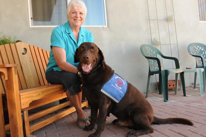 Carolyn Croft and her chocolate Labrador retriever, River, are ready to assist Trauma Intervention Program volunteers with comforting physically uninjured but traumatized people involved in accidents or other tragedies. Croft said 3-year-old River has the ideal disposition for the task and has completed a year of training for the job. He is the first TIP dog in Sedona and the Verde Valley.