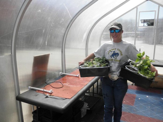 Kayla Niederer, a freshman at Camp Verde High School, moves plants during work to build a state-of-the-art greenhouse on campus. The work is funded in part by the National Park Service, which will use the greenhouse to repopulate native plant species.