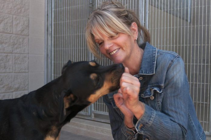 The new manager of the Adopt for Life Center for Animals, Maryann Canning, plays at the shelter Friday, May 31 with a shepherd mixed-breed named Teela who is waiting to be adopted into a new home.