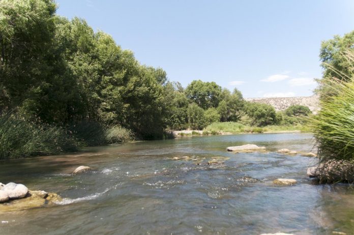 After monitoring the flow of the Upper Verde River for the past five years, the Grand Canyon Chapter of the Sierra Club released a report arguing that flows in the river could become intermittent within the next two decades.