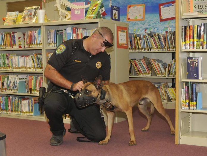 Claymore, a 2½-year-old Belgian Malinois, is the new K-9 officer of the Camp Verde Marshal’s Office. Claymore lives with deputy Jeff Bowers, who brought his K-9 partner to the Camp Verde Community Library on Thursday, July 25, to meet the public. While Claymore is an officer with a badge, Bowers joked that he’s the only member of the force who doesn’t take home a paycheck.