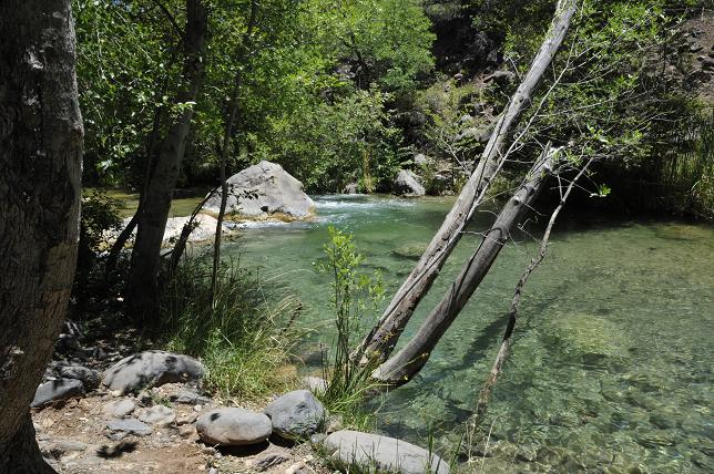 The Homestead is one of the earliest Fossil Creek access points. Camping is allowed 100 feet from the creek itself, where the water is blue-green and crystal clear, running over rocks to form small rapids in places. Farther down, the water is calmer, lending itself to swimming.