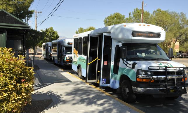 Part of the fleet of Cottonwood Area Transit buses wait outside Cottonwood Public Library for riders to board. Cottonwood has accepted a grant that will help to improve and possibly expand the transit system, including both CAT and Verde Lynx buses.