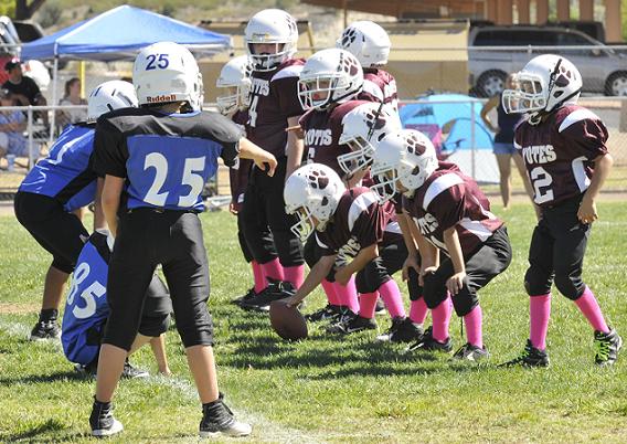 The Camp Verde Coyotes Mighty Mites team, at 4-3, finished tied for fourth place with the Cottonwood Marauders but is waiting on a home field, to be decided by coin flip for their first-round game. The Northern Arizona Youth Football league has put all seeding for the opening round of playoff games Saturday, Oct. 24, on hold until a makeup game between the Coyotes and Chino Valley is decided Thursday, Oct. 22, in Williams.