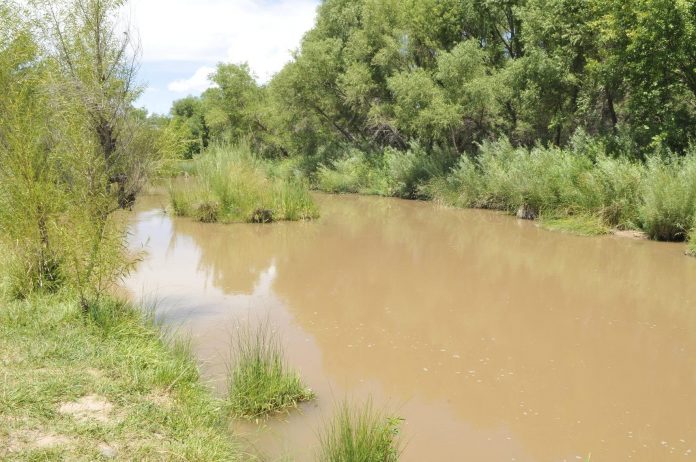 A human skull was recently recovered from the Verde River near Camp Verde’s Black Bridge. The skull was found by kids fishing, and has since been sent to a forensic lab.