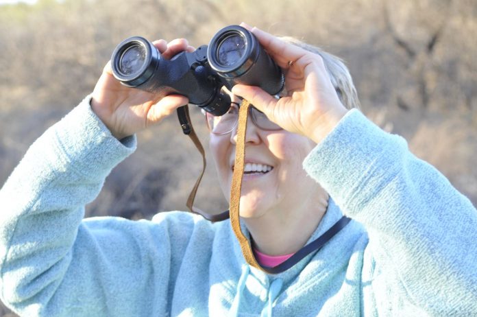 Terri Dlouhi, of Minnesota, observes an oriole’s nest in a tree at Dead Horse Ranch State Park. While Dead Horse is a known bird watching spot, Camp Verde is working to establish an Important Bird Area designation near the Verde River.