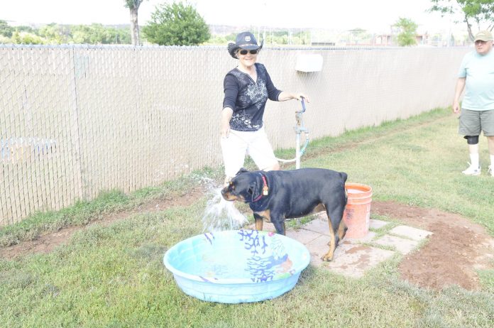 Rob and Yvonne Cole with their 2-year-old Rottweiler Cami at Riverfront Dog Park. The dog park is the only area within Cottonwood city limits, other than private property, where unleashed dogs are allowed.