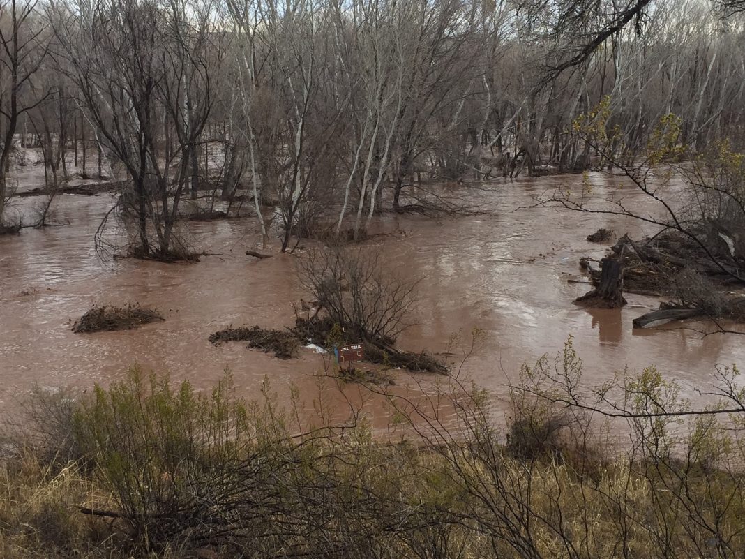 Cottonwood's Riverfront Park closed due to Verde River flooding