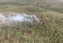 Grapefire Fire 19% contained as monsoon rains limit spread of 1,049-acre wildland blaze