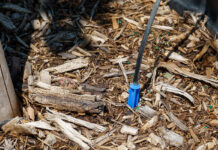 Pro gardeners share irrigation tips