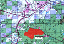 Flagstaff, Mogollon ranger districts to burn this week