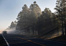 Still Fire firing operations paused