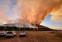 Wildfire crews contain 942-acre Maid Fire