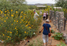 VVAC to host garden open house & plant sale