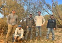Vets work to help Verde River