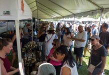 1,300 celebrate at wine festival