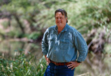 W. David Gressly brings talents to Verde Valley