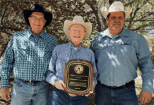 Remembering Andy Groseta