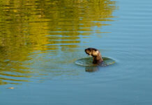 Yavapai County hopes water talks flow