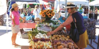 P&Z OKs New Farmers Market