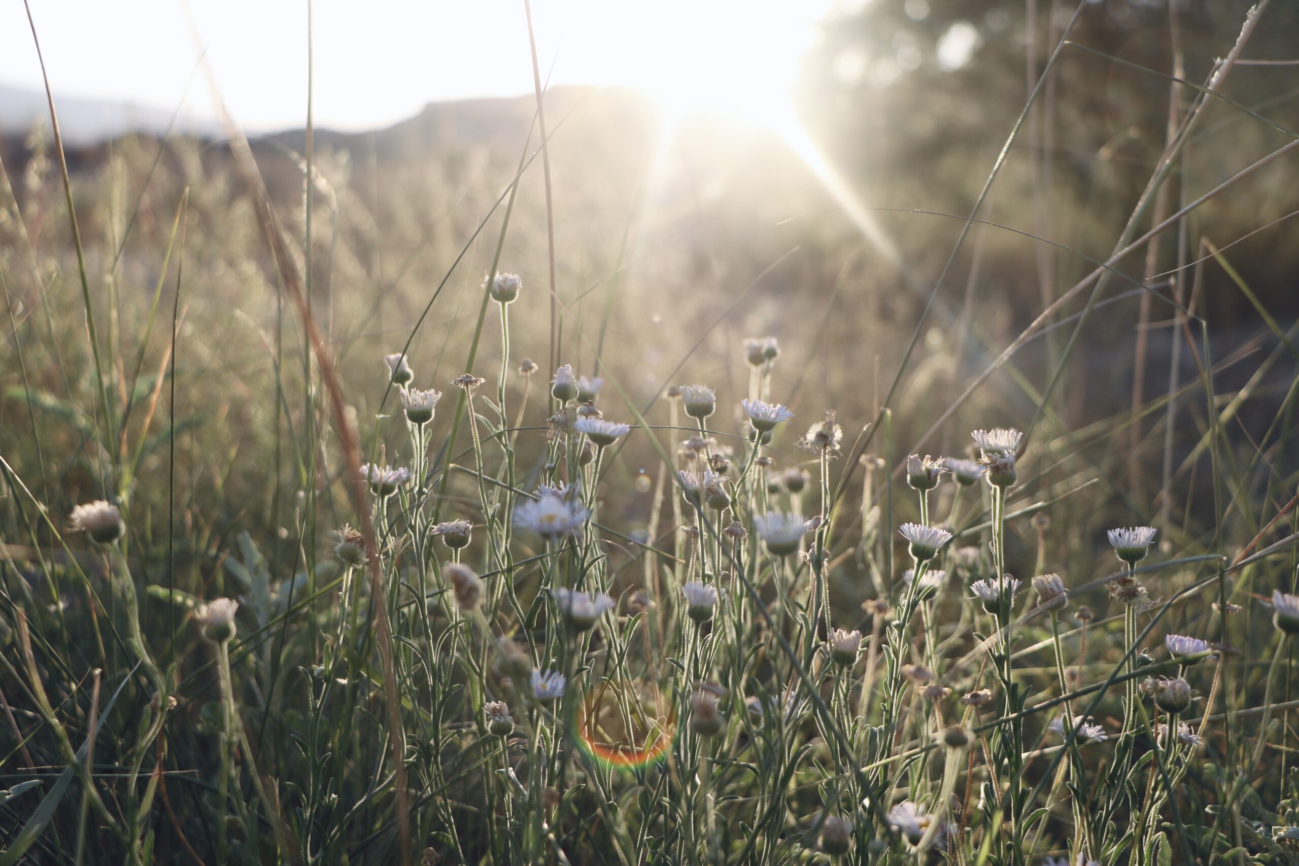 Camp Verde High School sophomore shoots for 1st place in Arizona