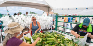 Camp Verde Cornfest 2026