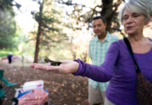 Birders bond over banding