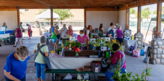 Verde Valley Farmers’ Market sets Kids Day