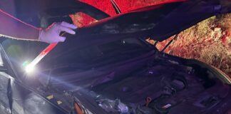 Suspect flees, hits police car
