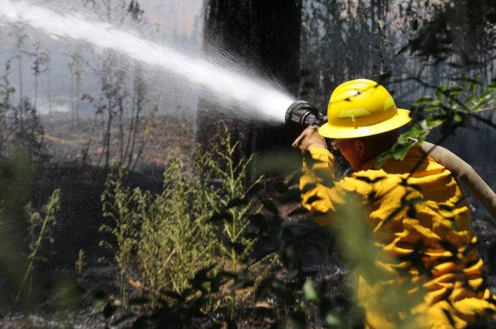 Verde Valley Fire District acting Capt. Bruce Hagberg attacks the flames of a wildfire which broke out at a river access point on Commanche Drive at approximately 1:40 p.m. on Thursday, June 24.