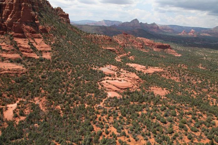 High on the Hog trail desends from the north side of the Twin Buttes into the Devil's Dining Room area of Broken Arrow.