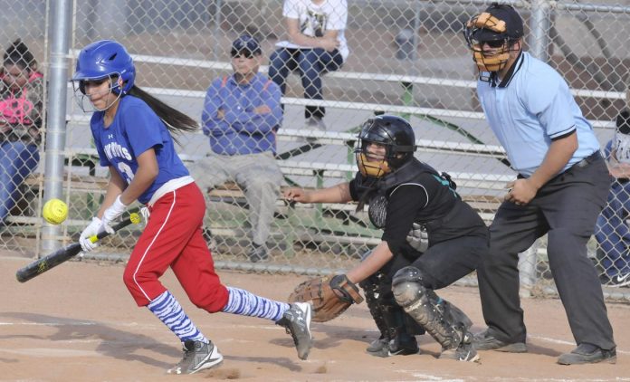 Seventh-grader Amanda Lozania opts to bunt instead of swing in a home win March 8 for Camp Verde Middle School over Big Park Community School (above). Safe at first base was Lozania, who is expected back from a week out of the 7-2 Cowboys’ lineup Thursday, March 31, at Pine Strawberry Elementary School. While CVMS softball challenges to win the Verde Valley Conference, baseball seeks to climb above .500 heading into their conference tournament at home in three weeks. The Cowboys are led by eighth-graders such as second baseman and on-base percentage leader Wyle Howe, who fields a ground ball and throws it to first base during a home win March 22 over Mayer Elementary School (below).