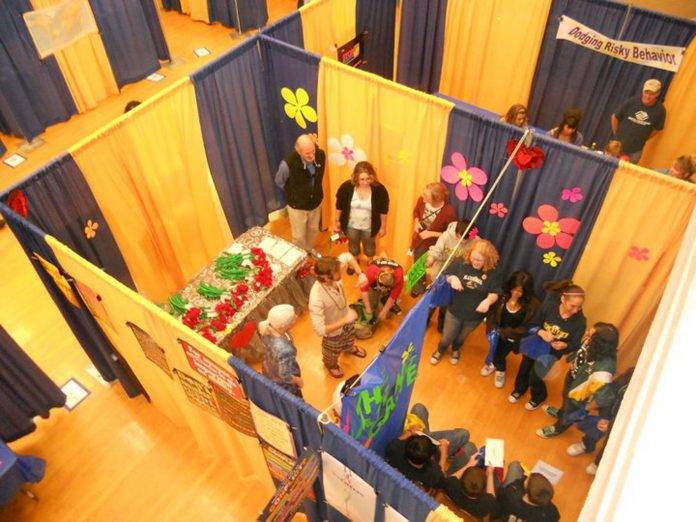 Students make their way through Teen Maze, an annual educational event at the Clemenceau Building in Cottonwood. Together, Yavapai County Community Health Services and Verde Valley Sanctuary organize the event to inform teens about making healthy and safe life choices.