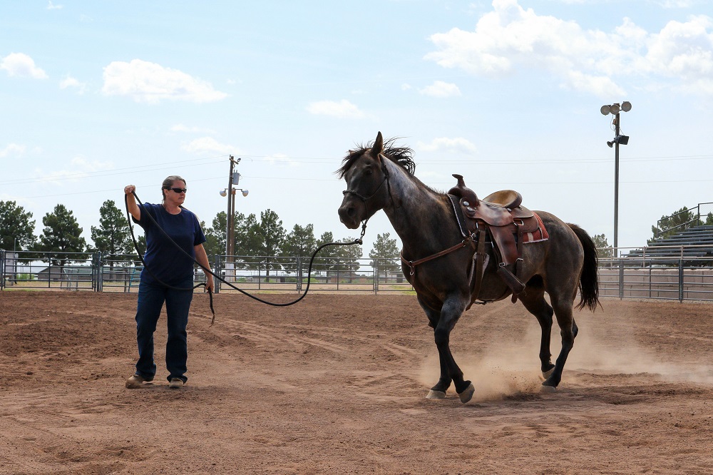 Verde Valley Fair kicks off