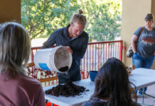 Worm wrangling at the library