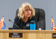 Council OKs Soltis quitting