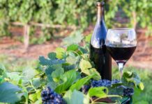 Wine license plates coming to a vehicle near you