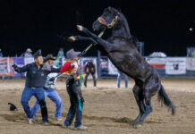 Fort Verde Days Rodeo | 10-12-2024