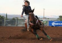 Town asks for Camp Verde arena bids