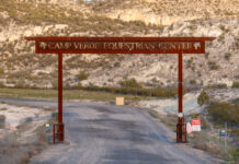 Council discusses equestrian center working group