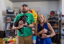 VVHS dogs hope for owners