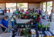 Verde Valley Farmers Market opens for 2026