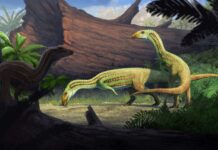Bug-eyed and bipedal crocodile creature with a toothless beak