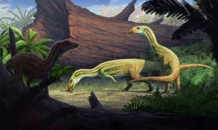 Sonselasuchus_Full_illus-scaled