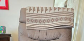 Chairy the dog seeks new home