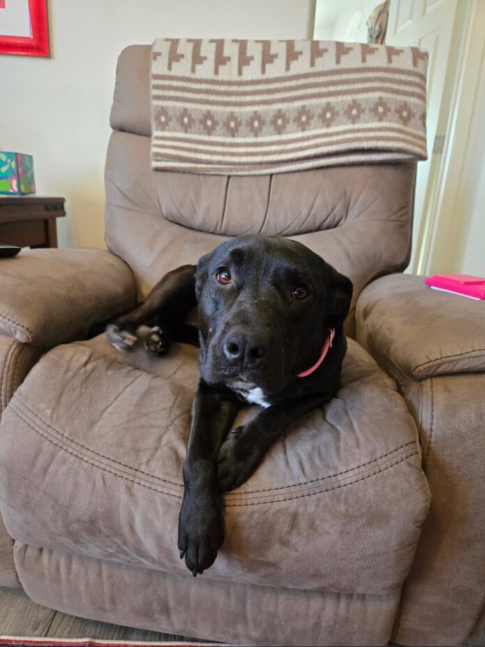 chairyafter